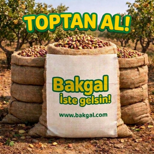 Fıstık Toptan Al